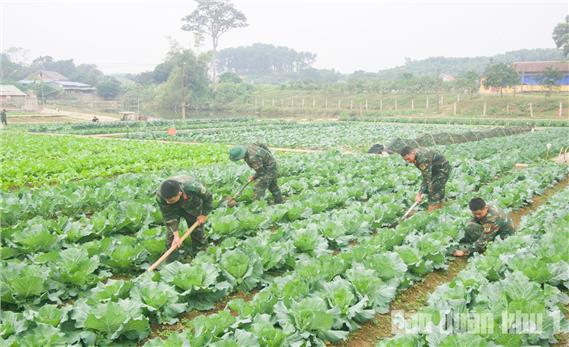 Chăm lo chất lượng bữa ăn bộ đội